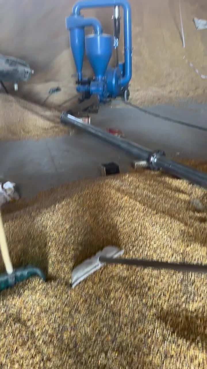 粮食输送实拍封面
