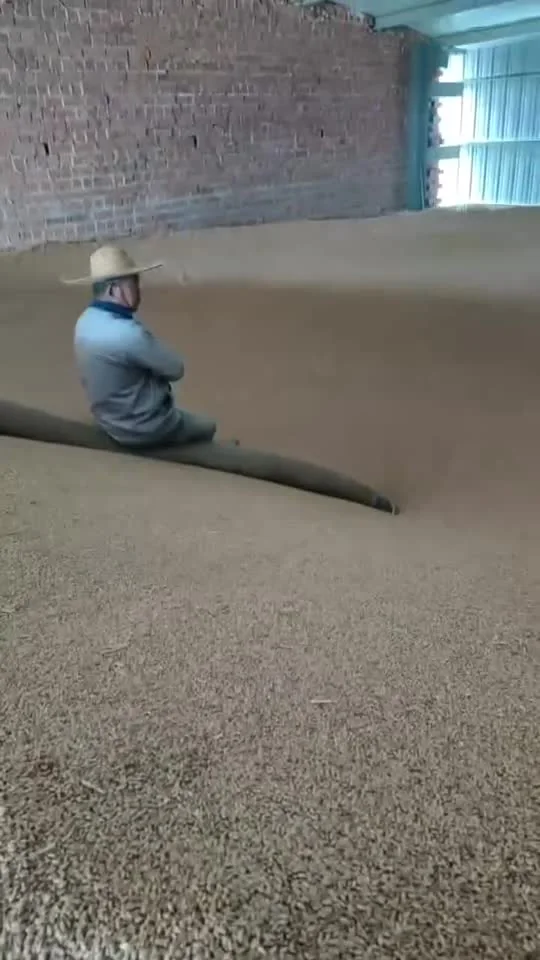 粮食作业现场视频封面